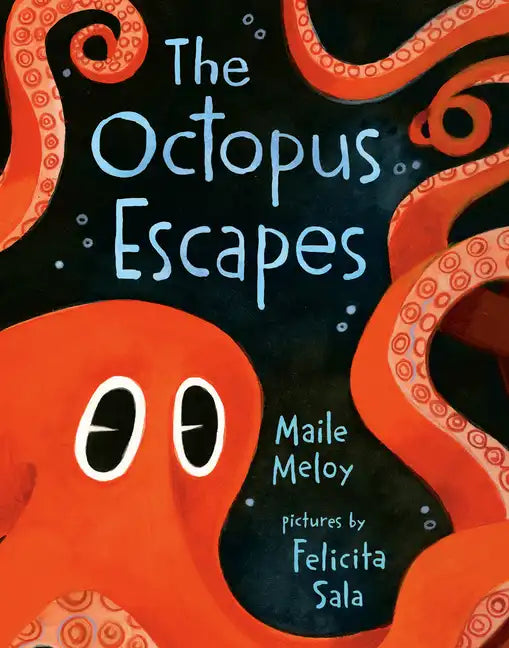 The Octopus Escapes - Board Book