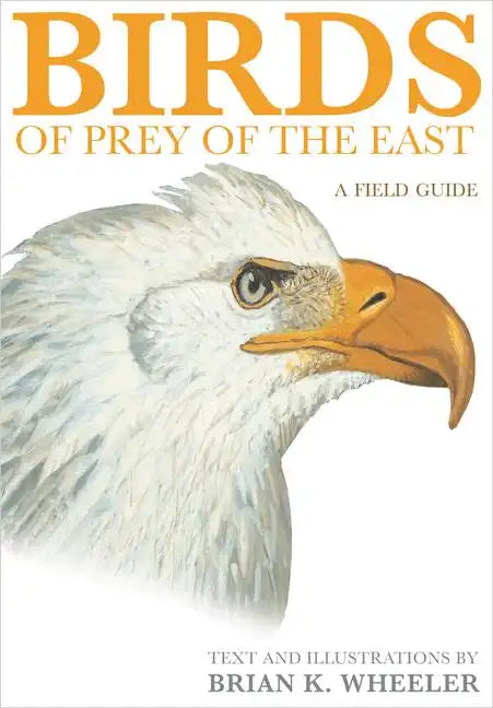 Birds of Prey of the East: A Field Guide - Paperback