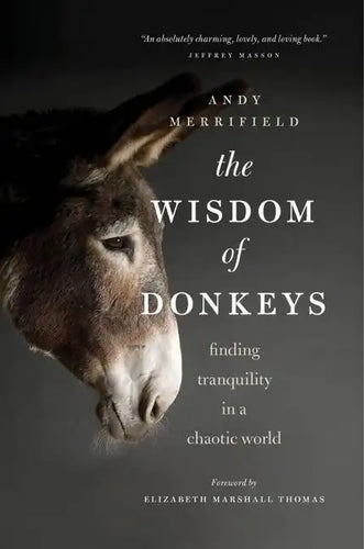 The Wisdom of Donkeys: Finding Tranquility in a Chaotic World - Paperback