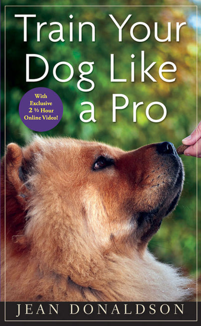 Train Your Dog Like a Pro - Paperback