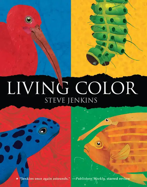 Living Color - Paperback