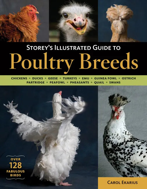 Storey's Illustrated Guide to Poultry Breeds: Chickens, Ducks, Geese, Turkeys, Emus, Guinea Fowl, Ostriches, Partridges, Peafowl, Pheasants, Quails, S - Paperback