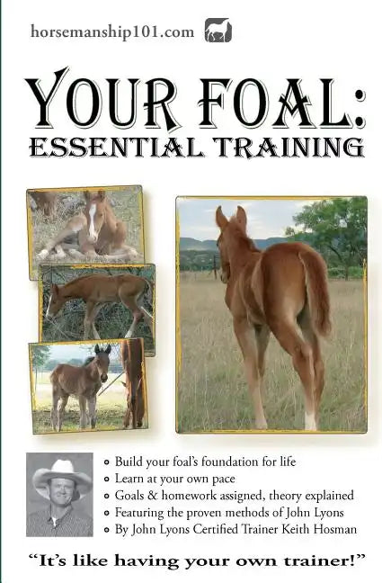 Your Foal: Essential Training - Paperback
