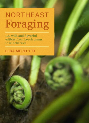 Northeast Foraging: 120 Wild and Flavorful Edibles from Beach Plums to Wineberries - Paperback