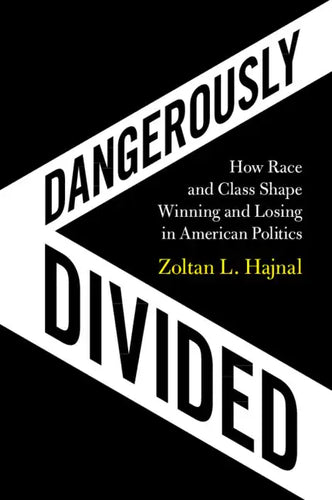 Dangerously Divided - Paperback