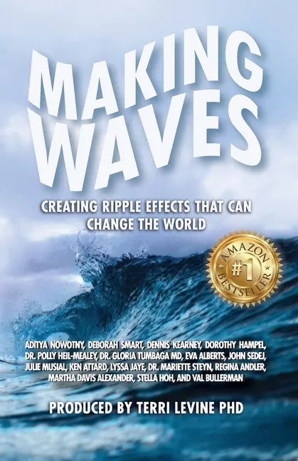 Making Waves: Creating Ripple Effects That Can Change The World - Paperback