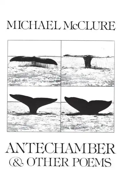Antechamber: And Other Poems - Paperback