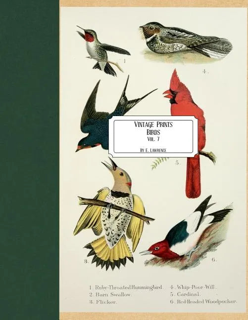 Vintage Prints: Birds: Vol. 7 - Paperback