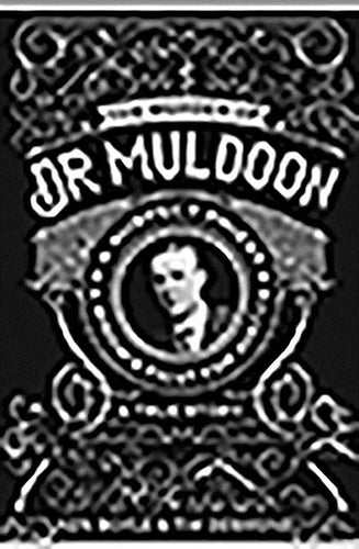 The Murder of Dr Muldoon: A Suspect Priest, A Widow's Fight for Justice - Paperback