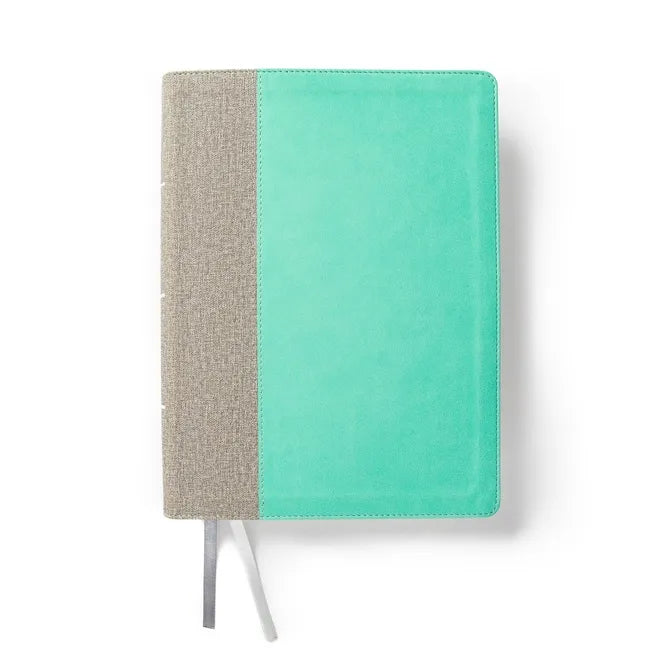 CSB Lifeway Women's Bible, Gray/Mint Leathertouch - Imitation Leather