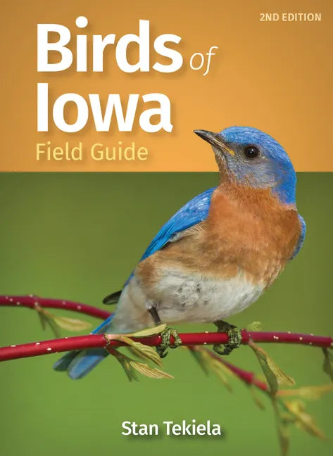 Birds of Iowa Field Guide - Paperback