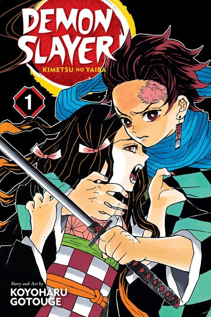 Demon Slayer: Kimetsu No Yaiba, Vol. 1 - Paperback