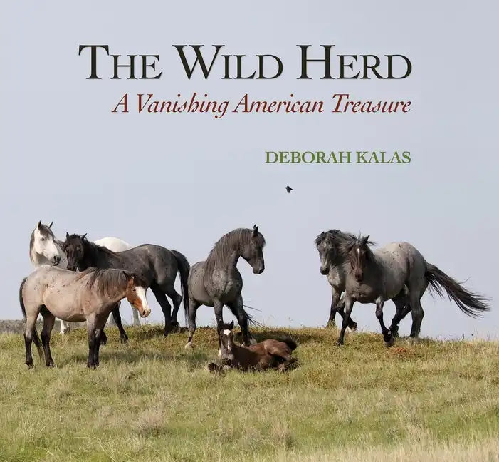The Wild Herd: A Vanishing American Treasure - Hardcover