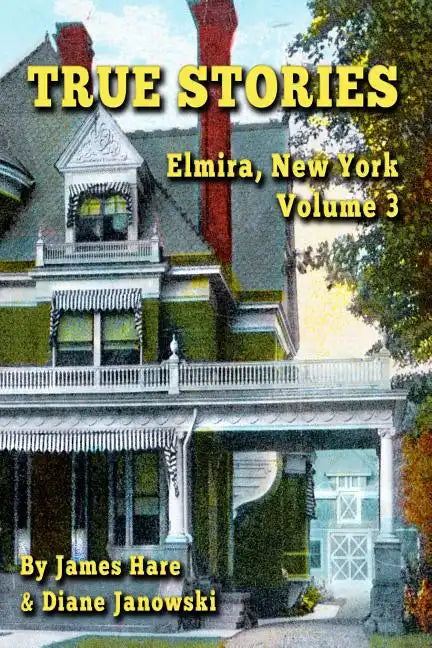 True Stories: Elmira, New York Volume 3 - Paperback
