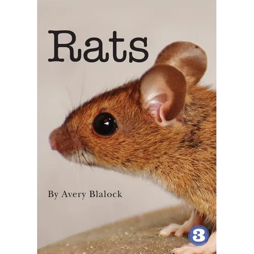 Rats - Paperback