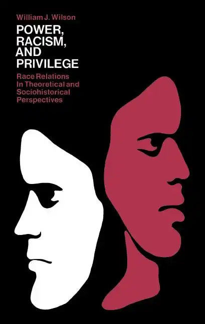 Power, Racism, and Privilege - Paperback