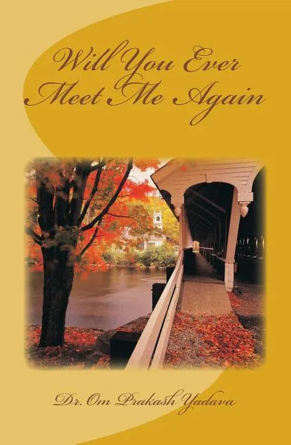 Will You Ever Meet Me Again - Paperback