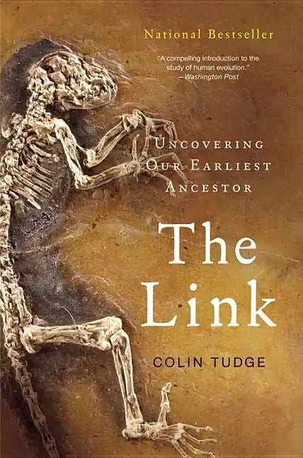 The Link - Paperback
