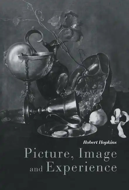 Picture, Image and Experience - Hardcover