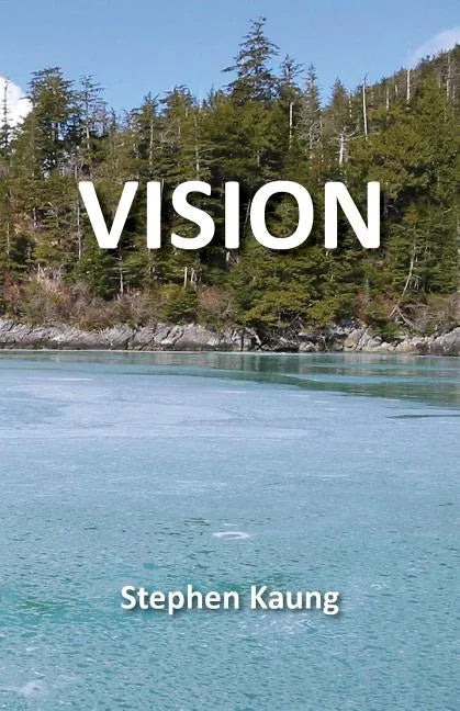 Vision - Paperback