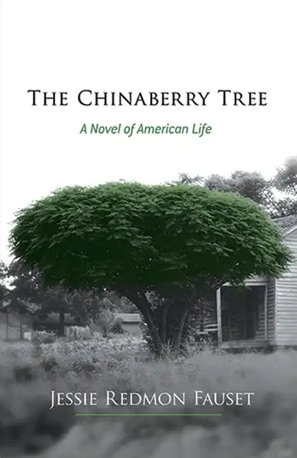 The Chinaberry Tree: A Novel of American Life - Paperback
