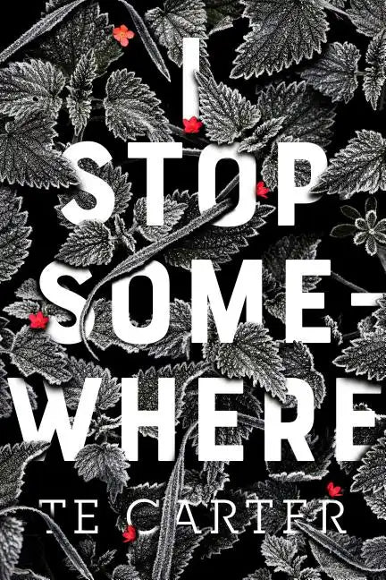 I Stop Somewhere - Paperback