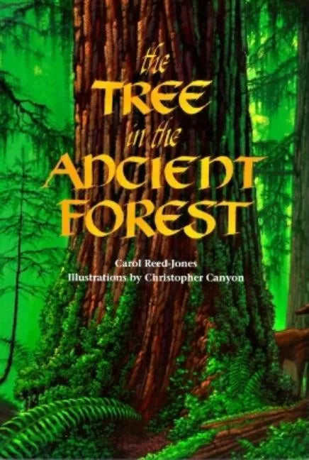 The Tree in the Ancient Forest - Paperback