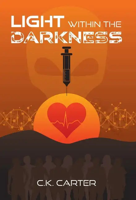 Light Within the Darkness - Hardcover