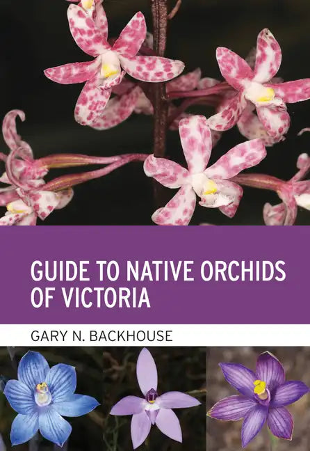 Guide to Native Orchids of Victoria - Paperback