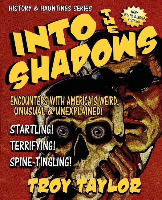 Into the Shadows - Paperback