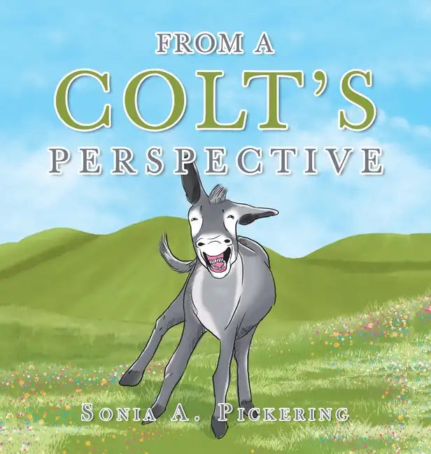 From a Colt's Perspective - Hardcover
