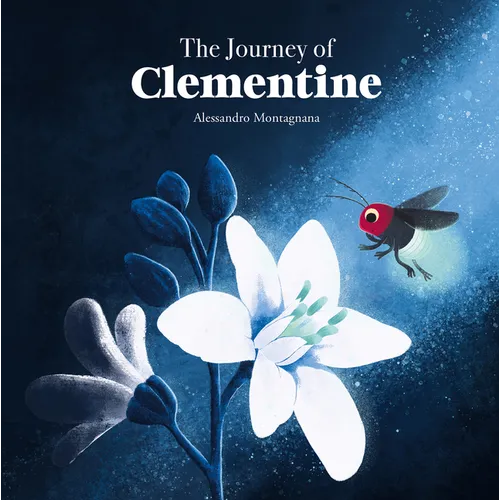 The Journey of Clementine - Hardcover