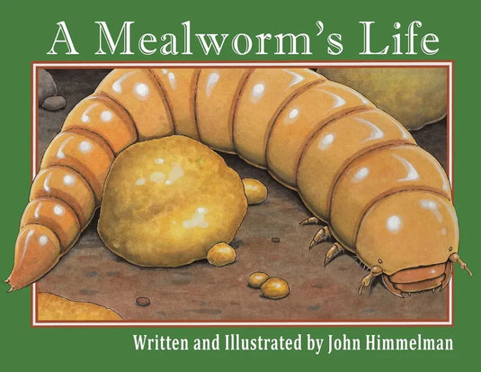 A Mealworm's Life - Paperback
