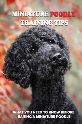 Miniature Poodle Training Tips: What You Need To Know Before Raising A Miniature Poodle: How To Raise A Well-Trained Miniature Poodle - Paperback