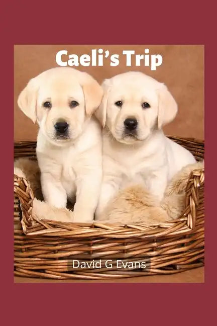 Caeli's Trip - Paperback