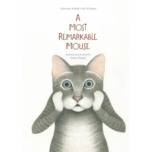 A Most Mysterious Mouse - Hardcover