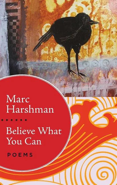Believe What You Can: Poems - Paperback