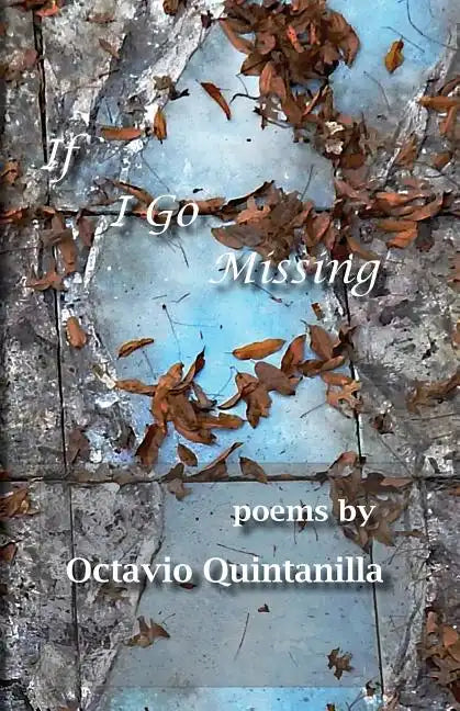 If I Go Missing - Paperback
