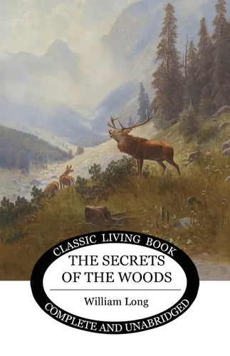 Secrets of the Woods - Paperback