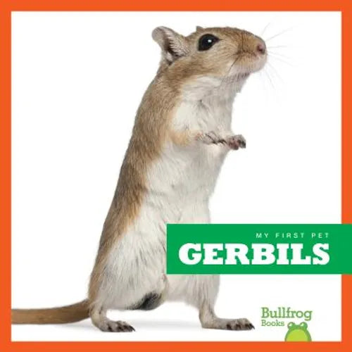 Gerbils - Hardcover