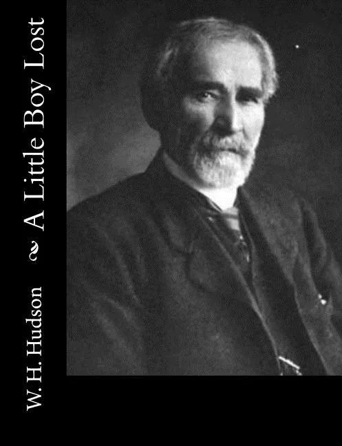 A Little Boy Lost - Paperback