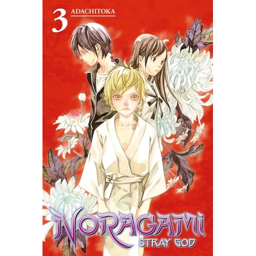 Noragami: Stray God 3 - Paperback