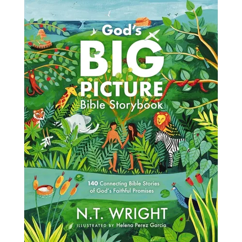 God's Big Picture Bible Storybook: 140 Connecting Bible Stories of God's Faithful Promises - Hardcover