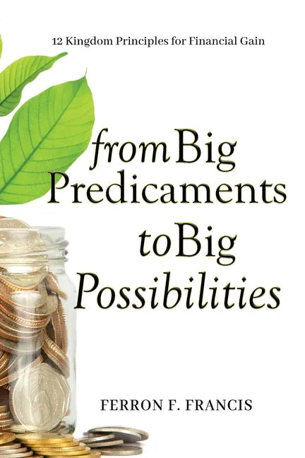 From Big Predicaments to Big Possibilities: 12 Kingdom Principles for Personal Financial Gain - Paperback