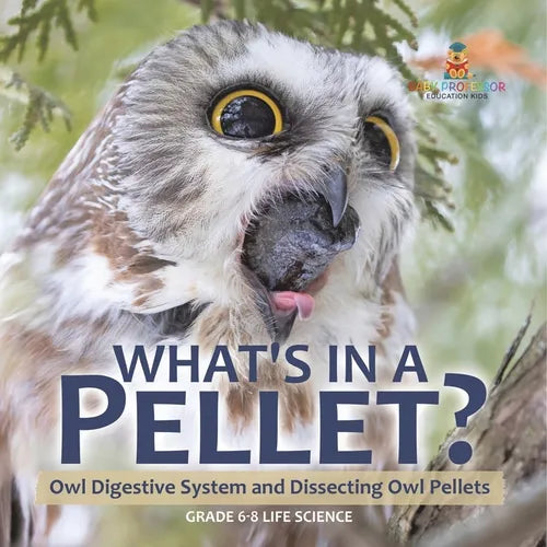 What's in a Pellet? Owl Digestive System and Dissecting Owl Pellets Grade 6-8 Life Science - Paperback