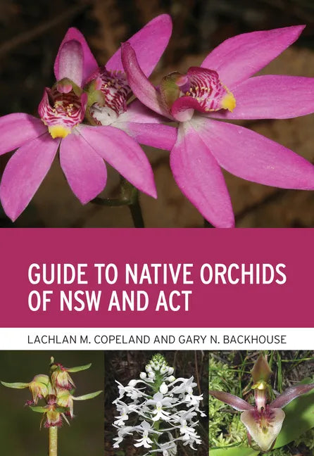 Guide to Native Orchids of Nsw and ACT - Paperback