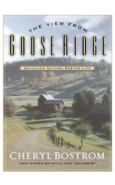 The View from Goose Ridge - Paperback