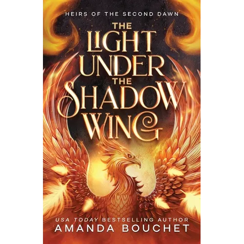 The Light Under the Shadow Wing - Paperback