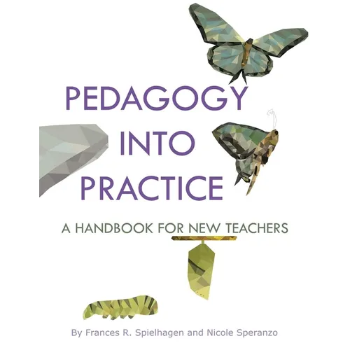 Pedagogy into Practice: A Handbook for New Teachers - Paperback