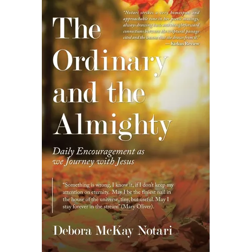 The Ordinary and the Almighty: Daily Encouragement as We Journey with Jesus - Paperback